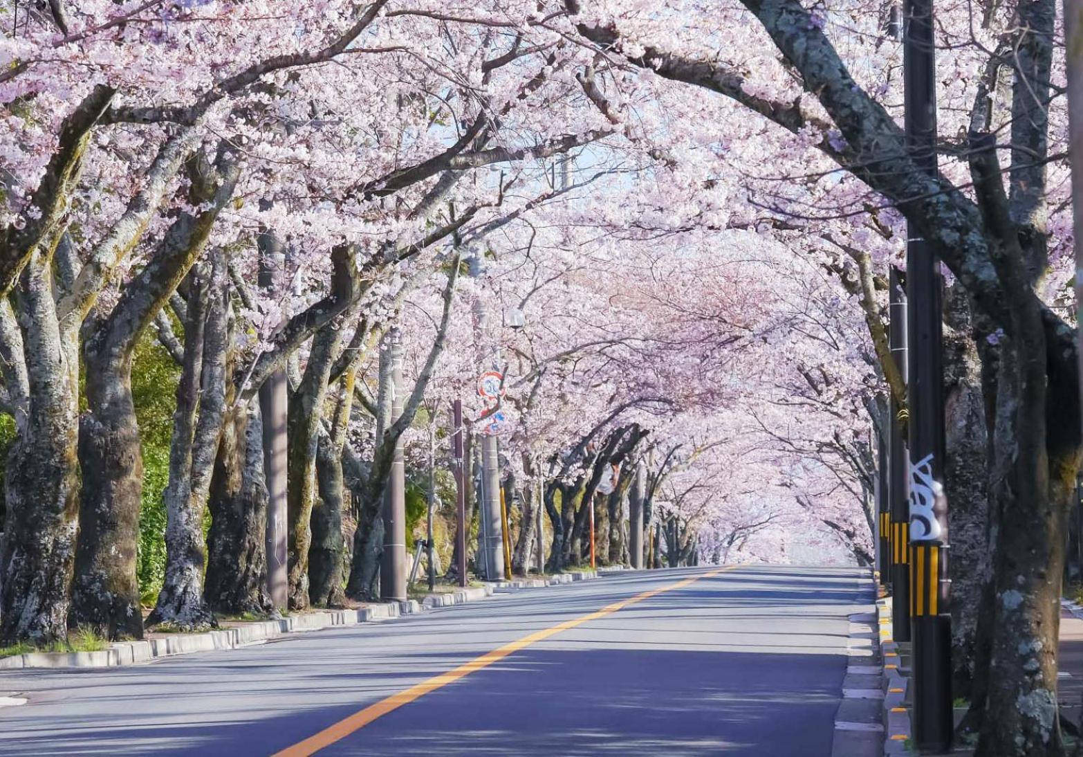 伊豆高原テラス-寛道- Villa Ito  Exterior photo