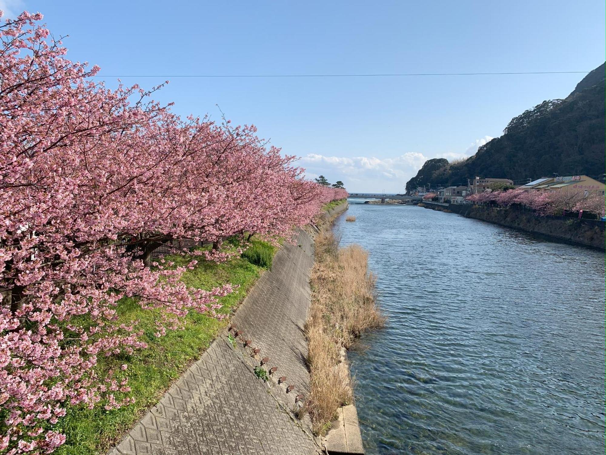 伊豆高原テラス-寛道- Villa Ito  Exterior photo